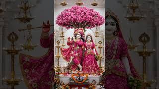 Jai Radha Madhav 🪷 #radhe#radheradhe#bhakti#bhajan#radhakrishna#krishna#vrindavan#trending#radha