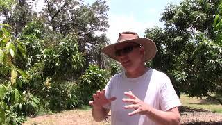 Amazing Fruit Farm Tour at Sulcata Grove -part 2 of 2