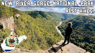 New River Gorge National Park - Top Hikes & Overlooks | Long Point, Endless Wall & More (2024)