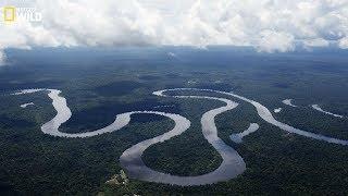 Nat geo Wild - The beauty and danger of the Amazon River - New