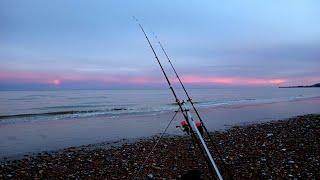SEA FISHING UK - LOW TIDE SESSION AT PEVENSEY BAY - SHORE FISHING IN EAST SUSSEX