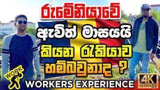 Work Experience in Romania (What You Need to Know) රුමේනියාවේ ඇවිල්ලා මාසයයි 