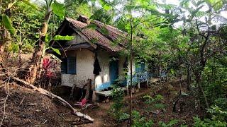 Tak Disangka ‼️ Bisa Sampai Ke Kampung Tersembunyi Yang Super Subur Di Pinggir Hutan