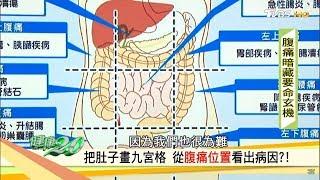 肚子痛卻不會說？把肚子畫九宮格，從腹痛位置看出病因！健康2.0