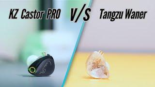 KZ Castor PRO vs Tangzu waner SG | Which IEM to pick ?