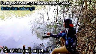 RAMENYA MANCING IKAN SELUANG UMPAN JANGKRIK