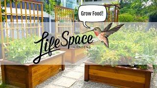 Transform your Space and Grow Your Own Food - with LifeSpace Gardens