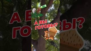 11 мая 2025 г.