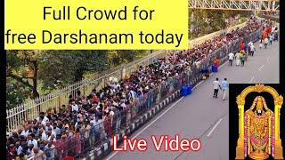 Tirumala Temple Live Video || Tirupati latest Updates today || Tirumala latest  Updates today || TTD