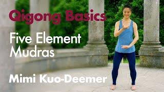 Qigong Basics - The Five Elements Organ Mudra Meditation