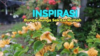 Koleksi Inspirasi Bunga-bunga Sekitar Pagar Rumah.