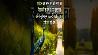 घमंड न करो अपने रूप और रुपए का जिन पंखों के बल पर मोर इतराता है #shortvideo #motivation