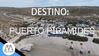 DESTINO PUERTO PIRÁMIDES | TURISMO NACIONAL