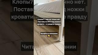 Клопы? У нас их точно нет. Поставьте ЭТО под ножки кровати — и узнаете правду