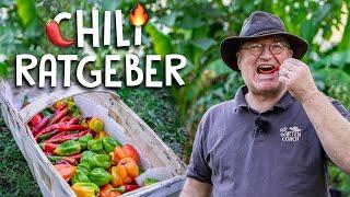 Chilis richtig ernten, überwintern und vermehren!  - Der Chili-Ratgeber