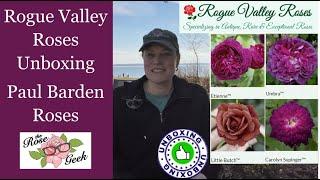  Rogue Valley Unboxing of 4 Paul Barden Rose Bands (Quart-size Own Root Roses) / PayPal Accepted