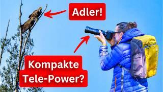 Mit dem Tele unterwegs: Lumix G9 II + 100-400mm & K&F Concept Kamerarucksack