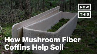 Mushroom Fiber Coffins Are an Eco-Friendly Alternative | NowThis Earth