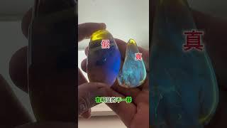 這天然琥珀蟲珀，大部分人都未曾見過！快來瞅瞅，保證讓你大開眼界，驚呼連連! 翡翠 珠寶直播 │ 翡翠 直播 │ 珠寶 翡翠  翡翠戒面 #翡翠直播 #翡翠 #珠宝 #珠寶 #翡翠珠寶 #Shorts