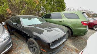 HUGE BIDDING WAR OVER THESE CARS AT THE PUBLIC TOW YARD AUCTION THIS GO ROUND! *THINGS GOT HEATED!*