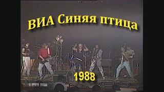 Синяя птица 1988 // Концерт //