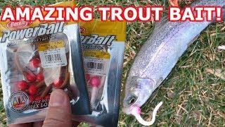 The Best Bait for Trout Fishing  is PowerBait Floating Mice Tails