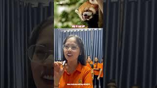 Đây là con gì? Phần 1 | BMFE CORP #bmfe #videofunny