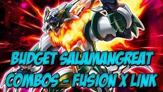 FUSION X LINK FESTIVAL - BUDGET SALAMANGREAT COMBO LINES FOR FAST GEMS - Yugioh Master Duel