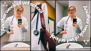 VET SCHOOL VLOG| week in the life, volunteering, exams, school/life balance️