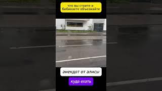 куда ехать #анекдот #от #алисы #смех #юмор #харламов #азамат #мусагалиев #павелволя