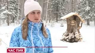 Создание арт-объекта «Дом Бобра» в Черняевском лесу