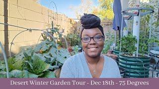 Desert Winter Garden Tour - Dec 8th - 75 Degrees