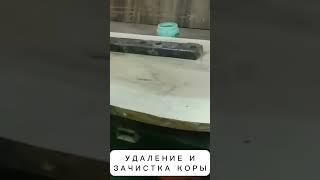 Готовый слэб за 30 секунд | shorts slabov