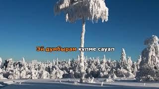 5 Думбыра