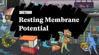 Resting Membrane Potentials: A Study Guide (Part 1) | Sketchy Medical | USMLE Step 1