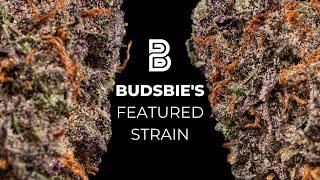 Budsbie's Featured Strain: Polaris from Fluent