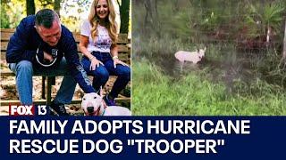 ‘Trooper’ the dog found tied to fence during Hurricane Milton adopted by Florida family