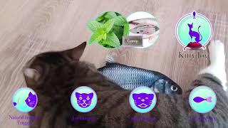 Realistic Fish toy for cats by KittyJoy