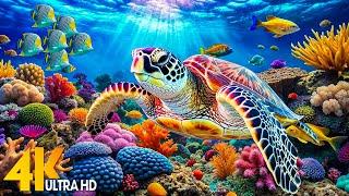 Ocean Wonder 4K - Dive into Tranquility - Sleep Relaxation with Beautiful Coral Reef Fish