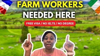 URGENT! Farm WORKERS Needed In IRELAND | Top 4 Places to Apply | No IELTS