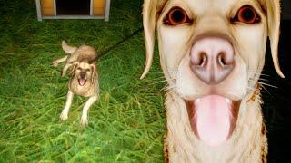 ХОРРОР ПРО ПСА ► THE PADDY FIELD たんぼ ПРОХОЖДЕНИЕ ИГРЫ ВСЕ КОНЦОВКИ