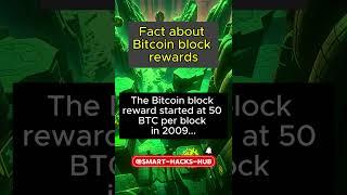 Fact about Bitcoin block rewards #crypto #cryptomaniacs #cryptofinance #blockchain #btch #money