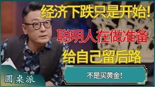 经济下跌只是开始！聪明人要做的不是买黄金！做好这个准备给自己留后路#马未都 #对白 #白岩松 #金灿荣 #圆桌派