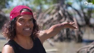 Sean Choolburra shares creation stories of Girramay Country in Queensland |  NITV News