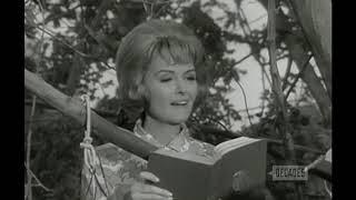 The Donna Reed Show S8E09,Trees