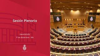 Sesión Plenaria - 17 de diciembre de 2024 - 16 horas - sonido sala