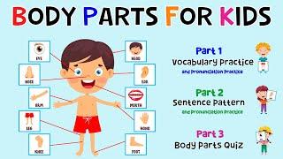 Body Parts For Kids | Learn Parts Of The Body | Body Part Quiz | ESL Kids | 4K