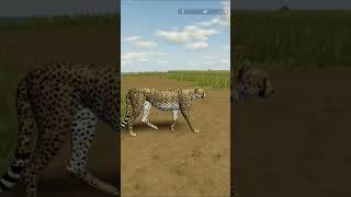 Is gazelle faster than cheetah?!?!  #shorts #roblox