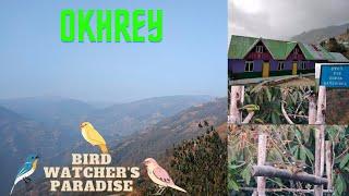 Okhrey | Offbeat Sikkim | Hilley | Bharsey | West Sikkim | Bird Watching | Laliguras | Guras kunj