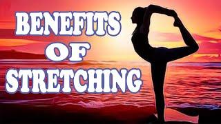 Yoga Full Body Stretch for Beginners |  Daily Yoga Stretches For Easy Flexibility | Yoga Is Life |